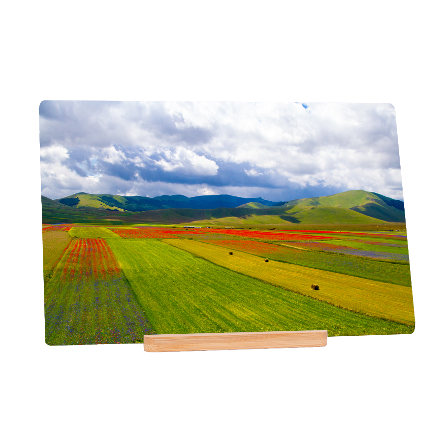 God's Brushes