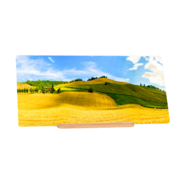 Golden Field
