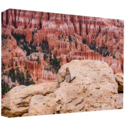 Greetings From Bryce