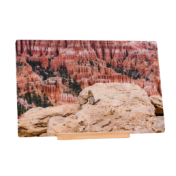 Greetings From Bryce