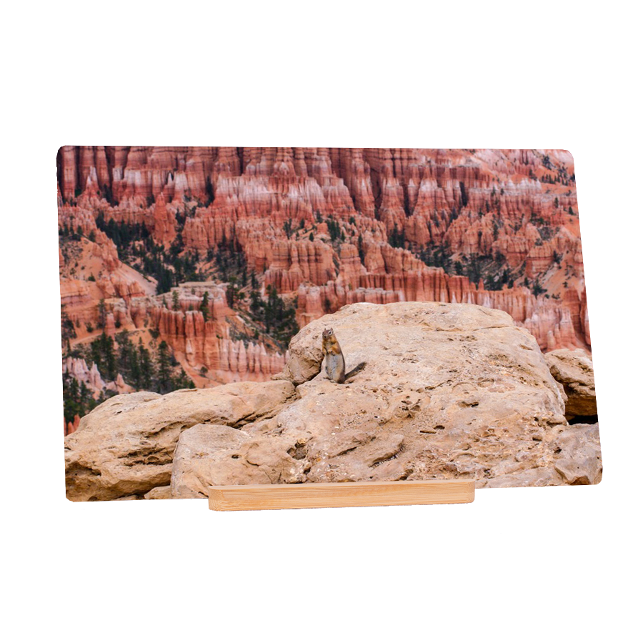 Greetings From Bryce