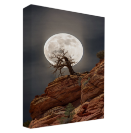 Howling Tree