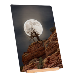 Howling Tree
