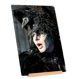 Joe The Crow