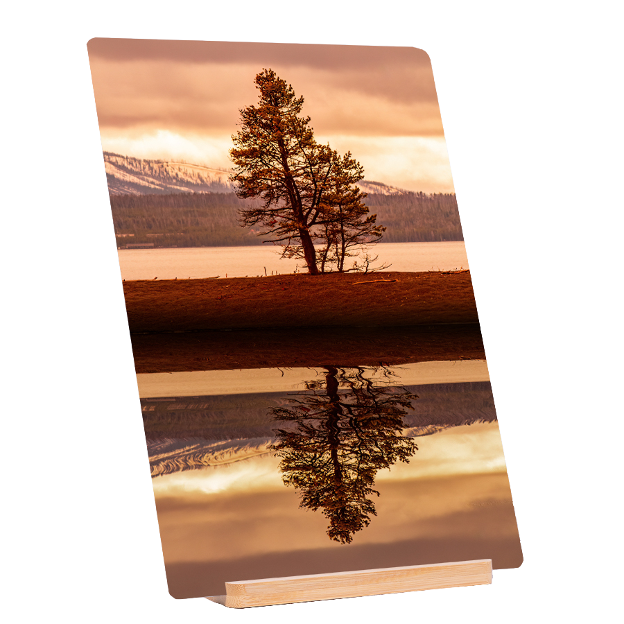 Lone Sunset