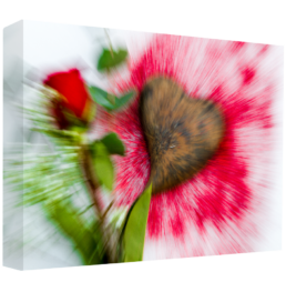 Love Impression