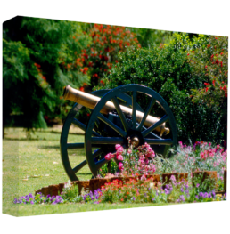 Put A Cannon On Your Flowers