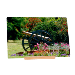 Put A Cannon On Your Flowers
