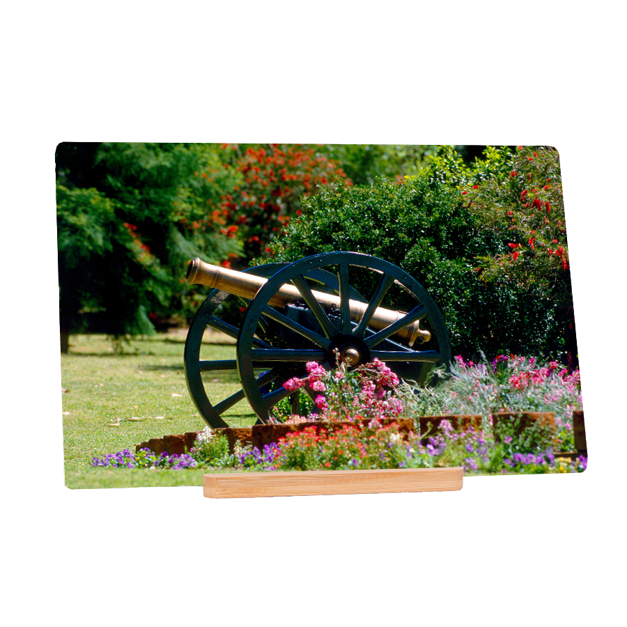 Put A Cannon On Your Flowers