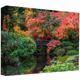 Relaxing Pond