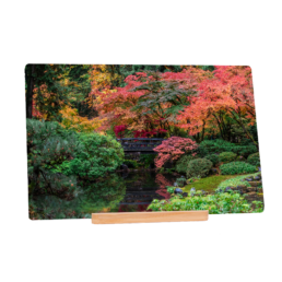 Relaxing Pond