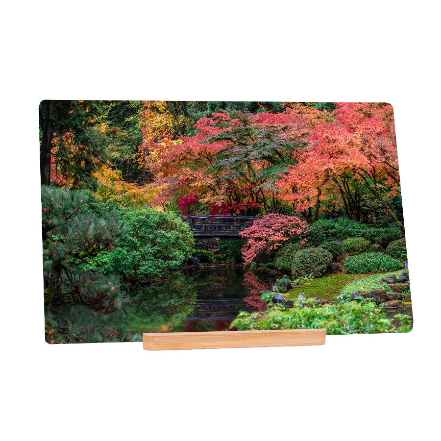 Relaxing Pond