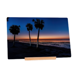 Rising In Paradise