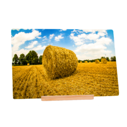 Solo Haystack