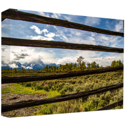 Striped Tetons
