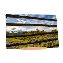 Striped Tetons