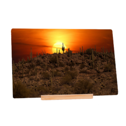 Sun-Guaro