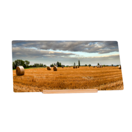 The Land Of Hay