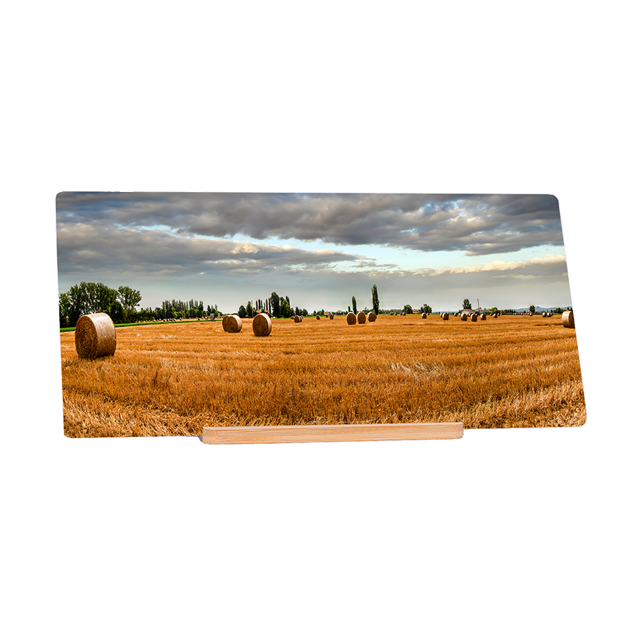 The Land Of Hay