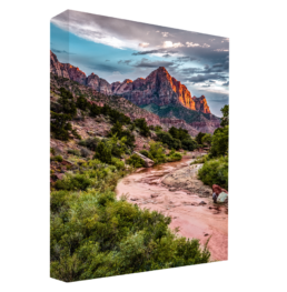 The Watchman