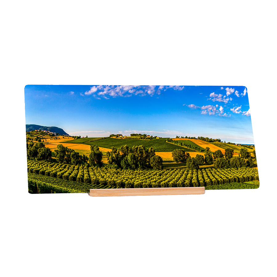 The Wine Route