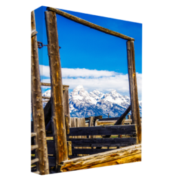 Freedom In A Frame