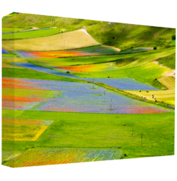 Pot-Pourri Of Colors