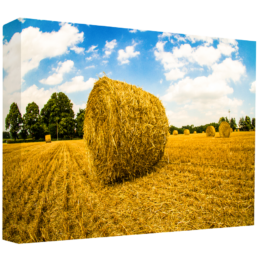 Solo Haystack