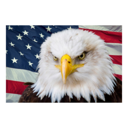 American Eagle