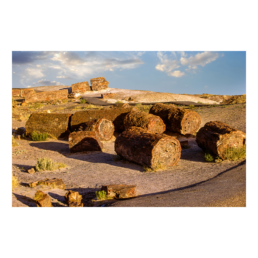 Bedrock's Tire Shop