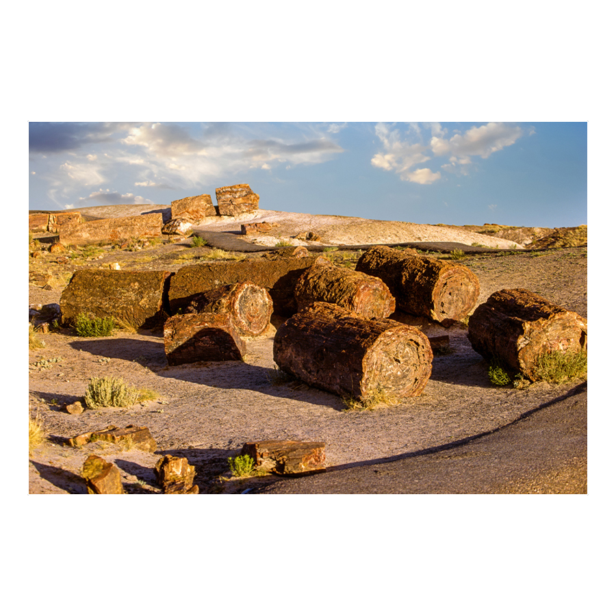 Bedrock's Tire Shop