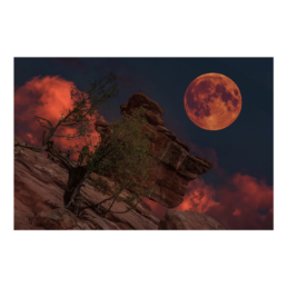 Bloody Moon