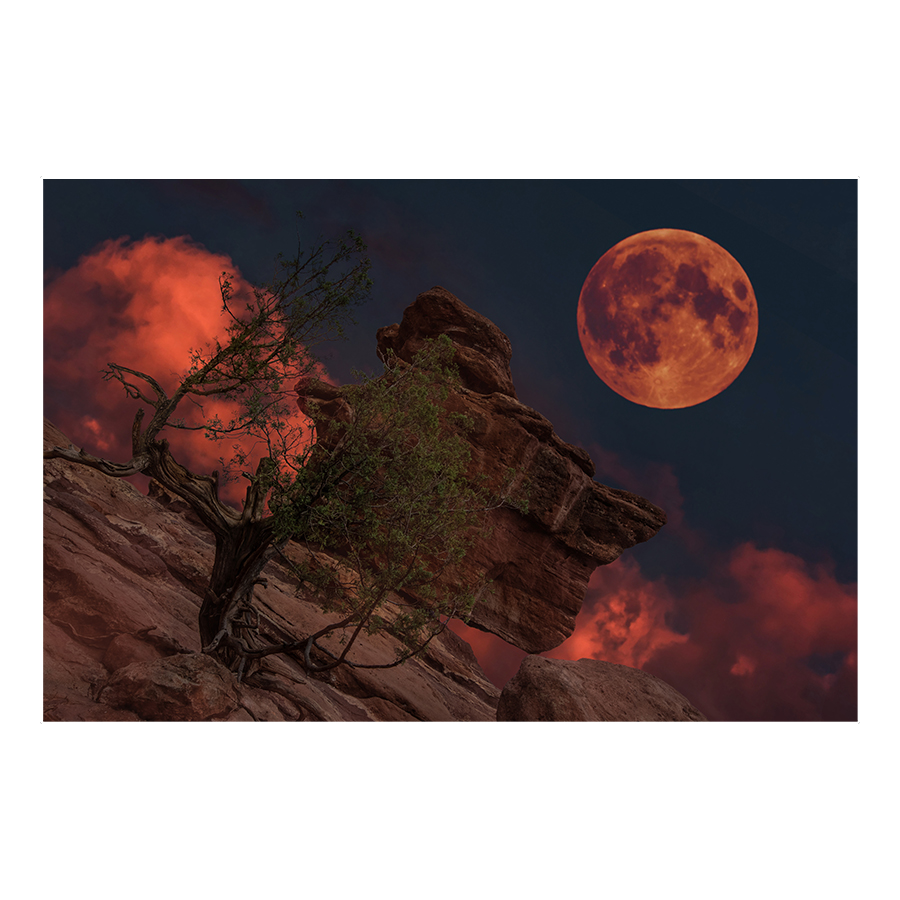 Bloody Moon