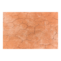Bone Dry