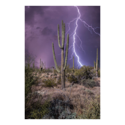 Desert Storm