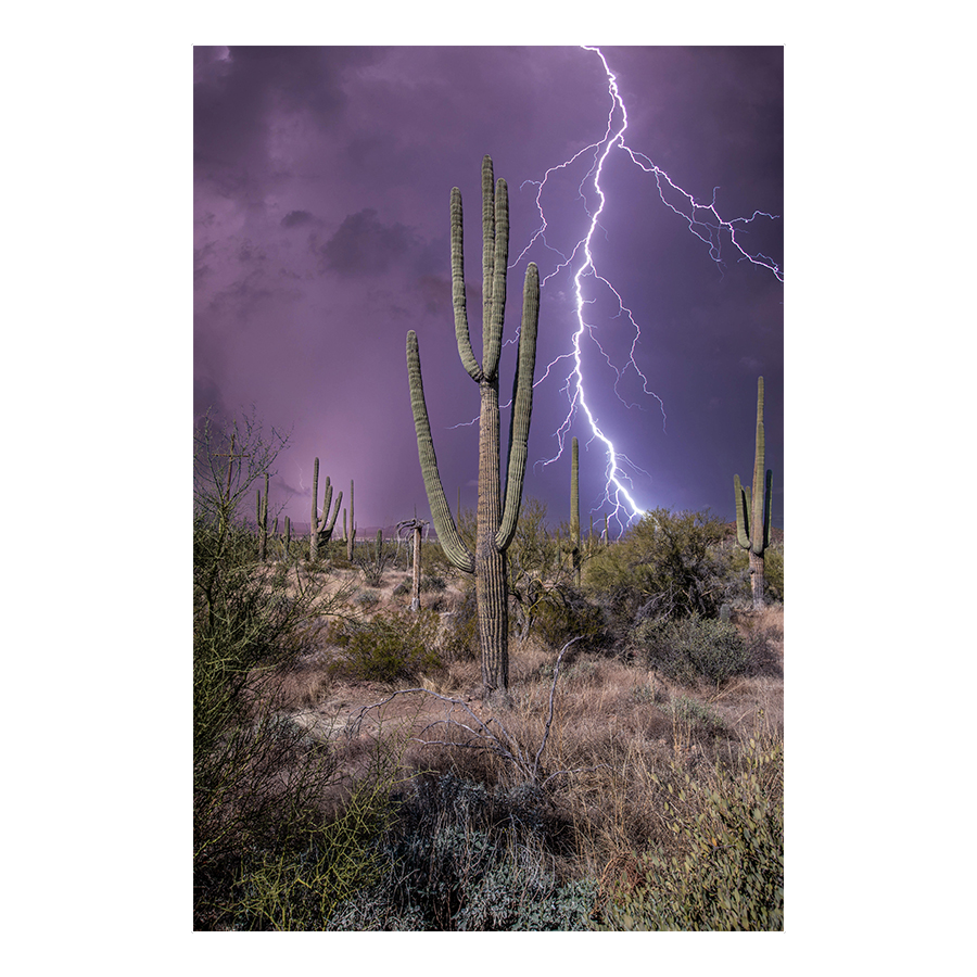 Desert Storm