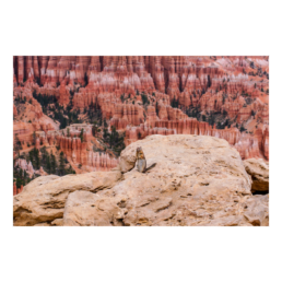 Greetings From Bryce
