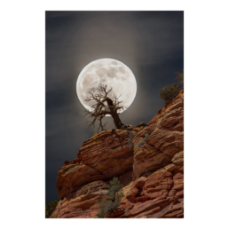 Howling Tree