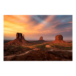 Idols In The Desert