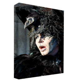 Joe The Crow