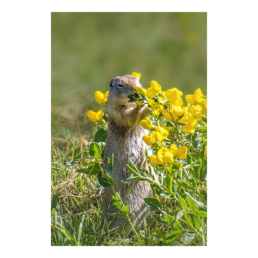 Mmm Spring!