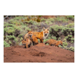 Motherhood