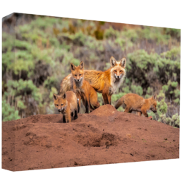 Motherhood