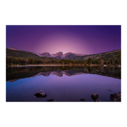 Purple Morning