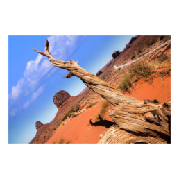 Reaching the Buttes