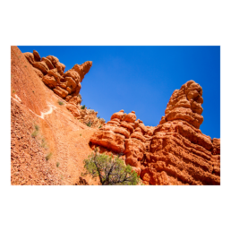 Red Canyon