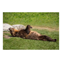 Relax Mode On