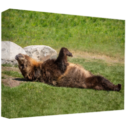 Relax Mode On