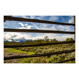 Striped Tetons