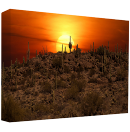 Sun-Guaro